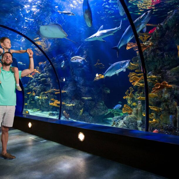 The Strand Galveston Rentals By Owner